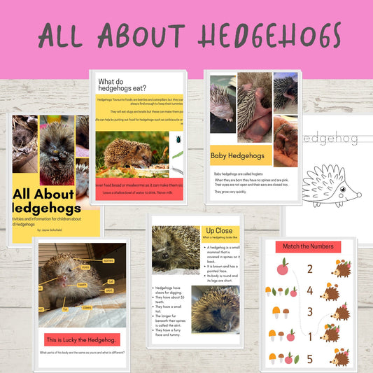 All About Hedgehogs Ebook